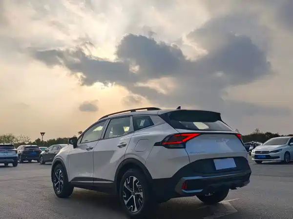 Kia Lion Platinum Expands The Boundary 2025