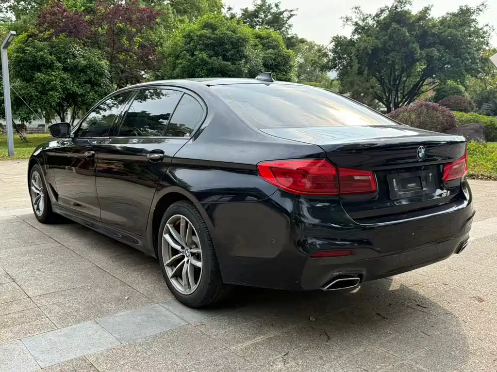 BMW 5 Series 2018 — фото 13