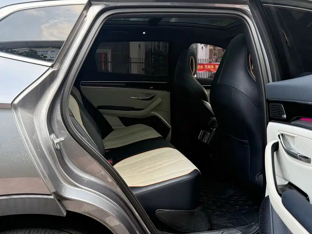 BYD PLUS New Energy 2022 — фото 20