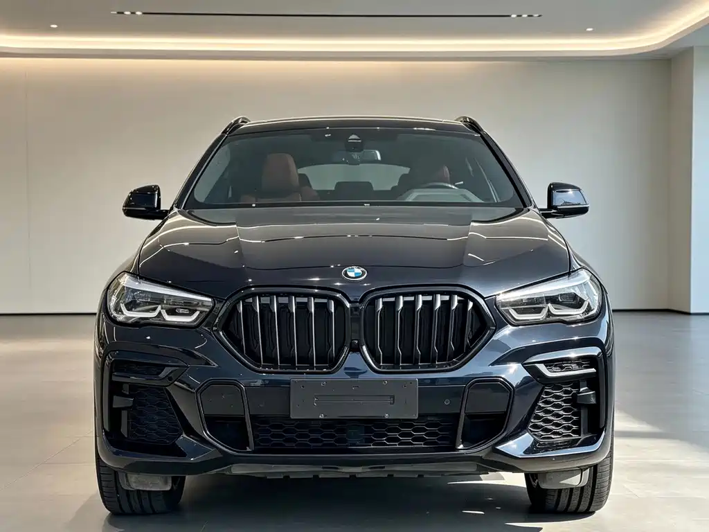 BMW X6 2023