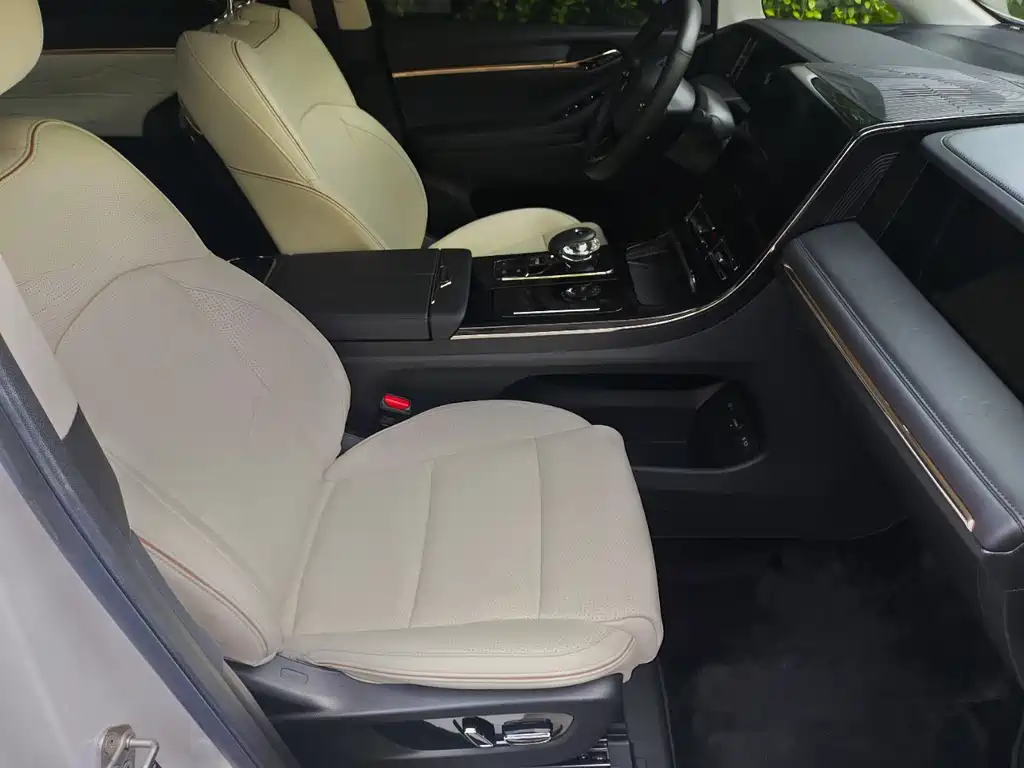 GAC Motor Trumpchi E9 2023 — фото 11