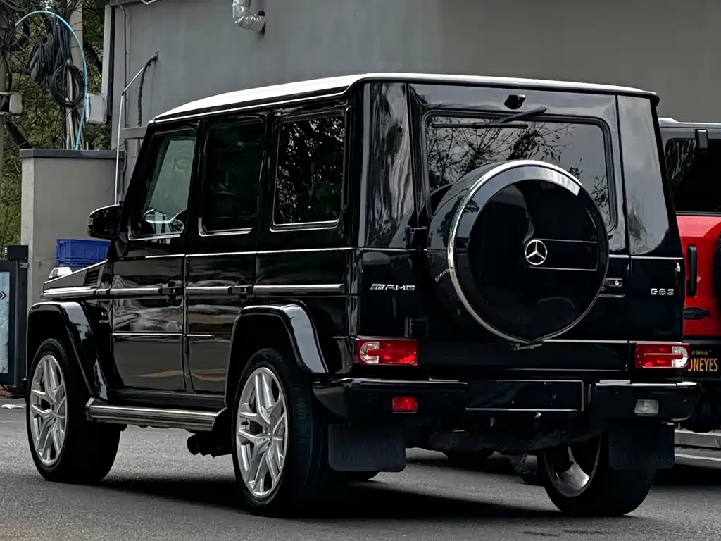 Mercedes-Benz G-Class 2010 — фото 12