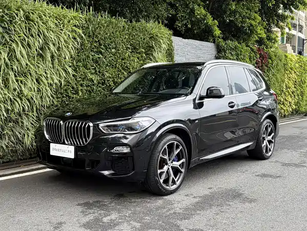 BMW X5 2019