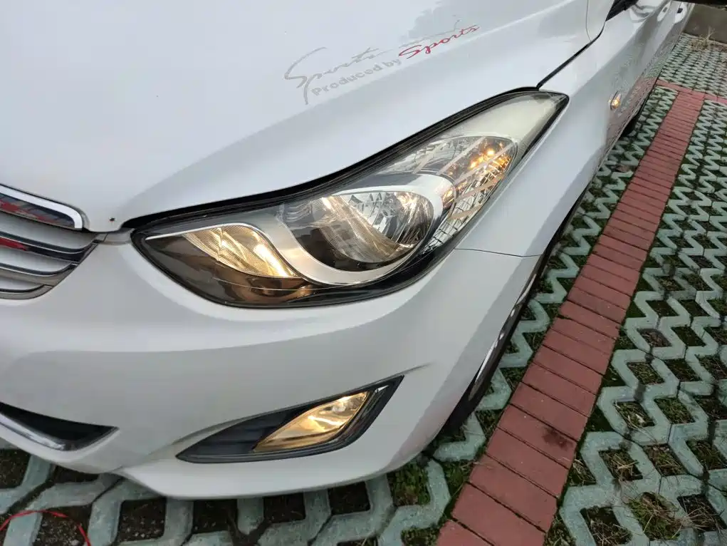 Hyundai Elantra Langdong 2014 — фото 18