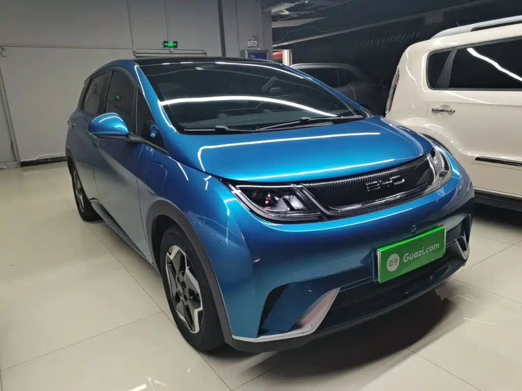 BYD Dolphin 2022