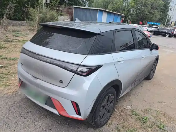 BYD Dolphin 2021
