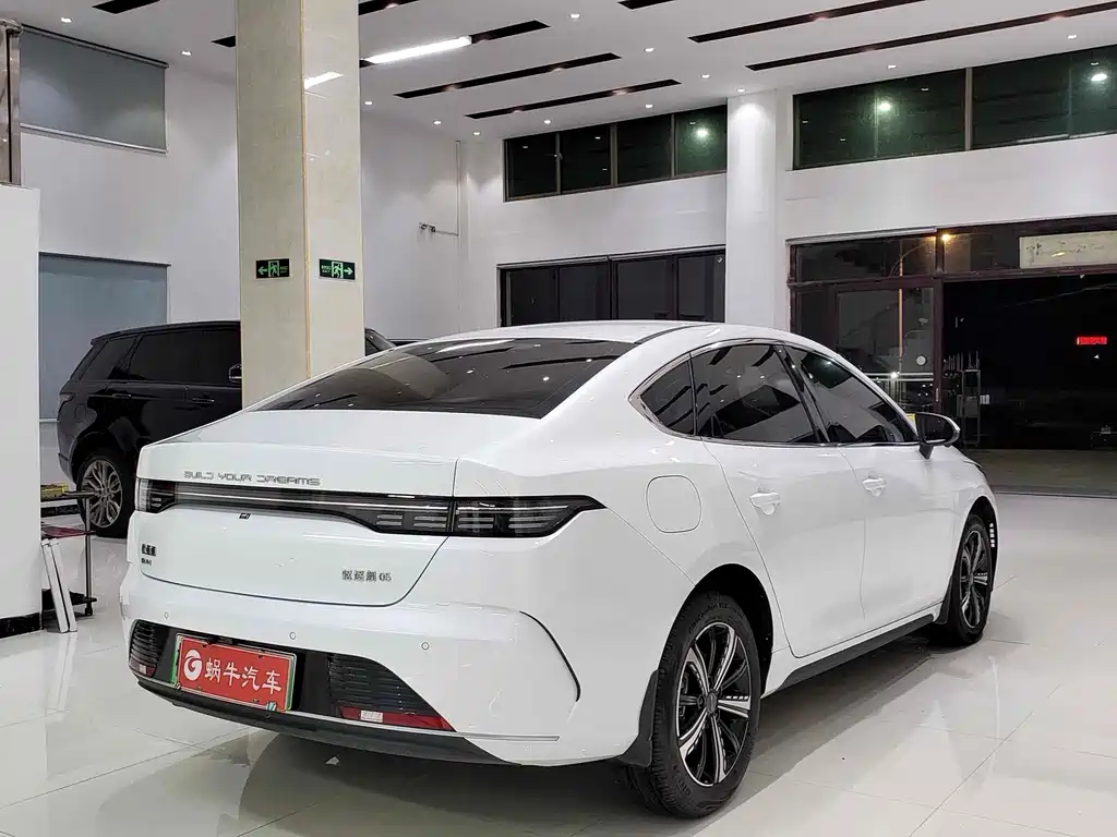 BYD Destroyer 05 2024 — фото 11