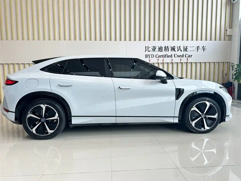 BYD L EV 2025