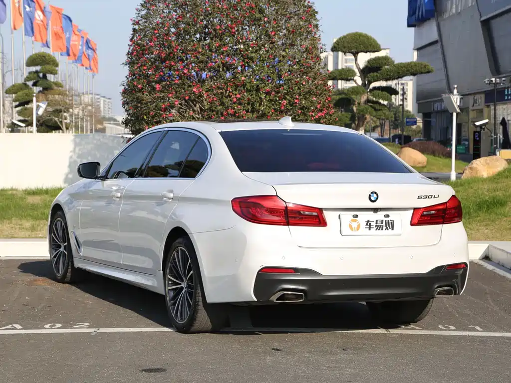 BMW 5 Series 2020 — фото 19