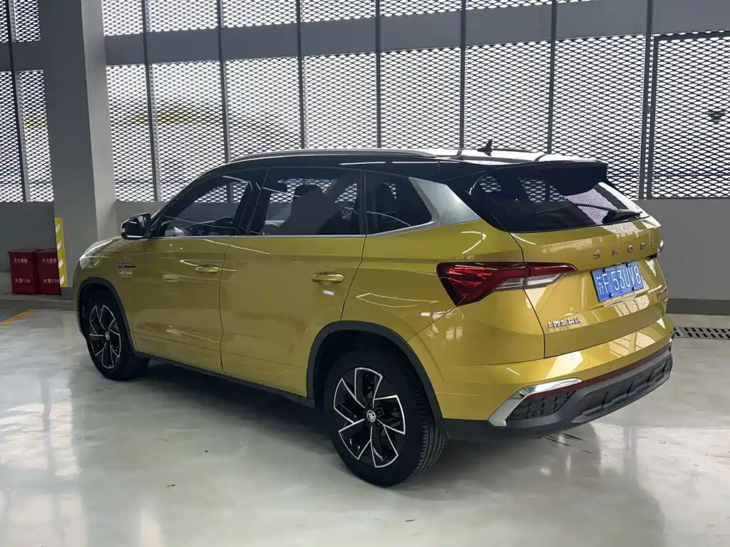 Skoda Kamiq 2020 — фото 8