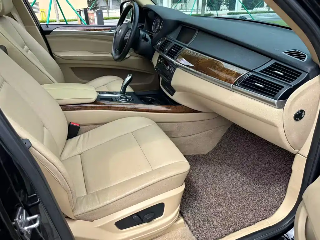BMW X5 2010