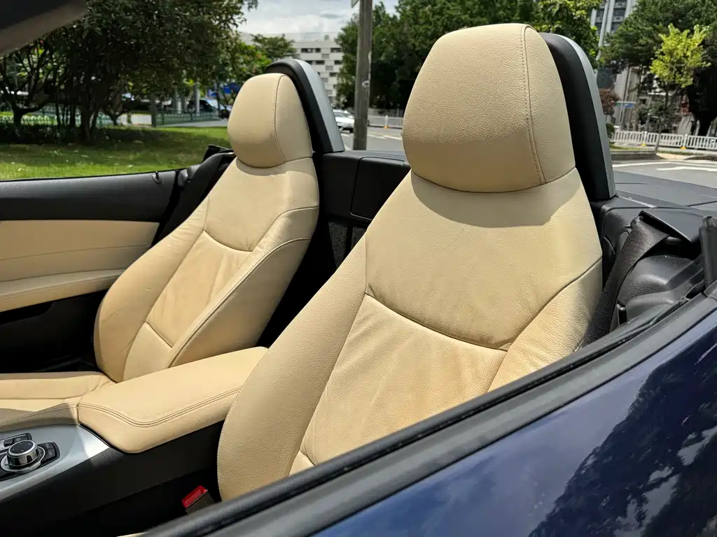 BMW Z4 2010