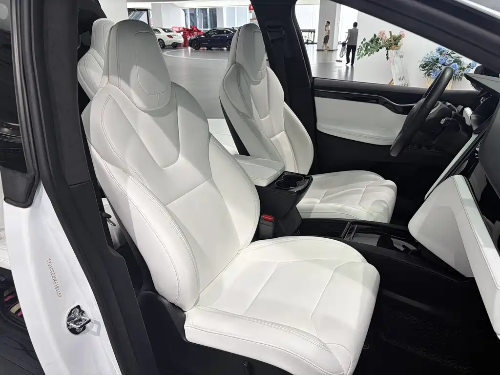 Tesla Model X 2019 — фото 9
