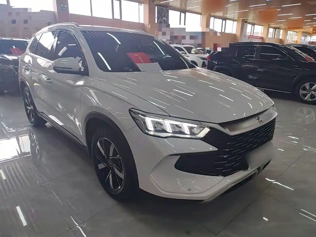 BYD Pro New Energy 2024 — фото 4