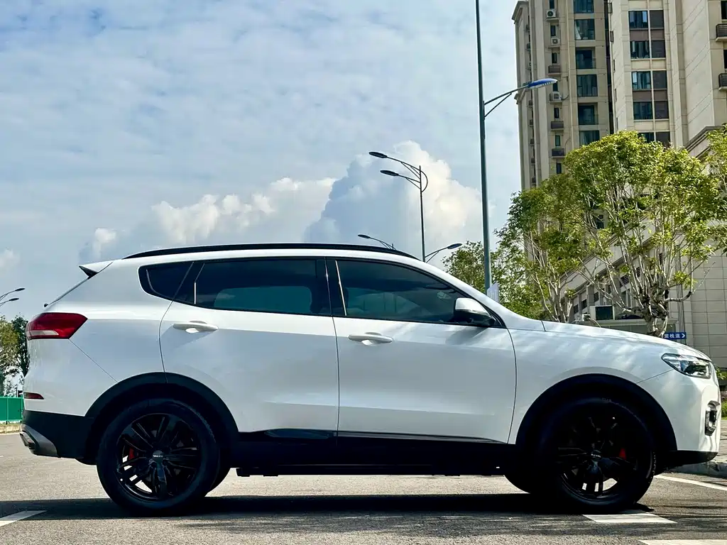 Haval H6 2020 — фото 10