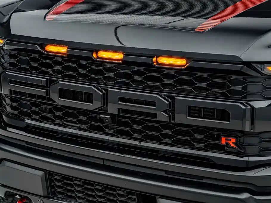 Ford F-150 Raptor 2024 — фото 41