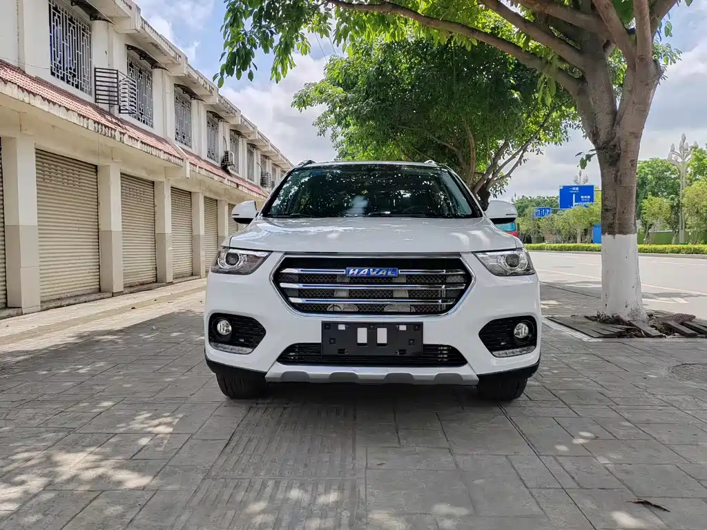 Haval H6 2019 — фото 2