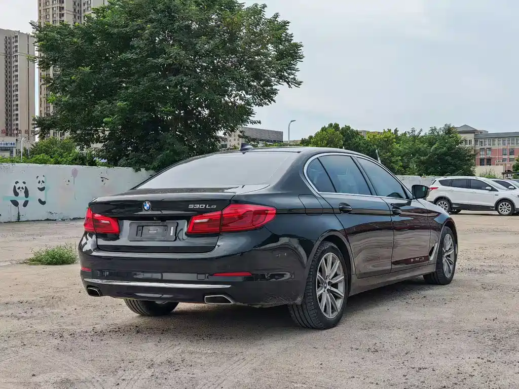 BMW 5 Series New Energy 2018