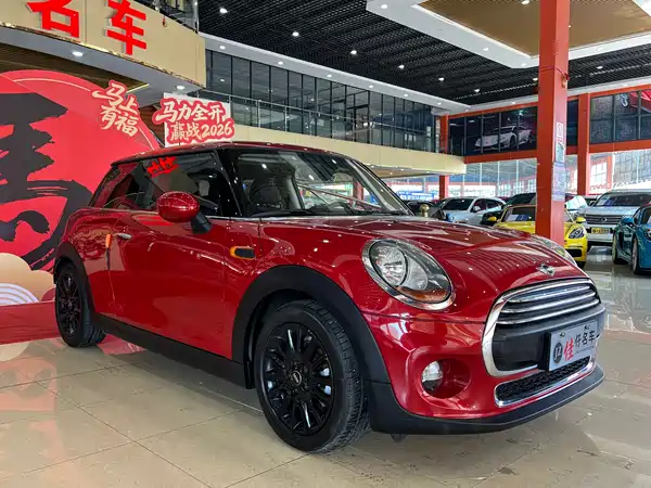 MINI MINI 2014