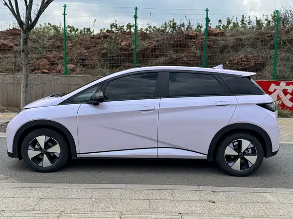 BYD Dolphin 2023
