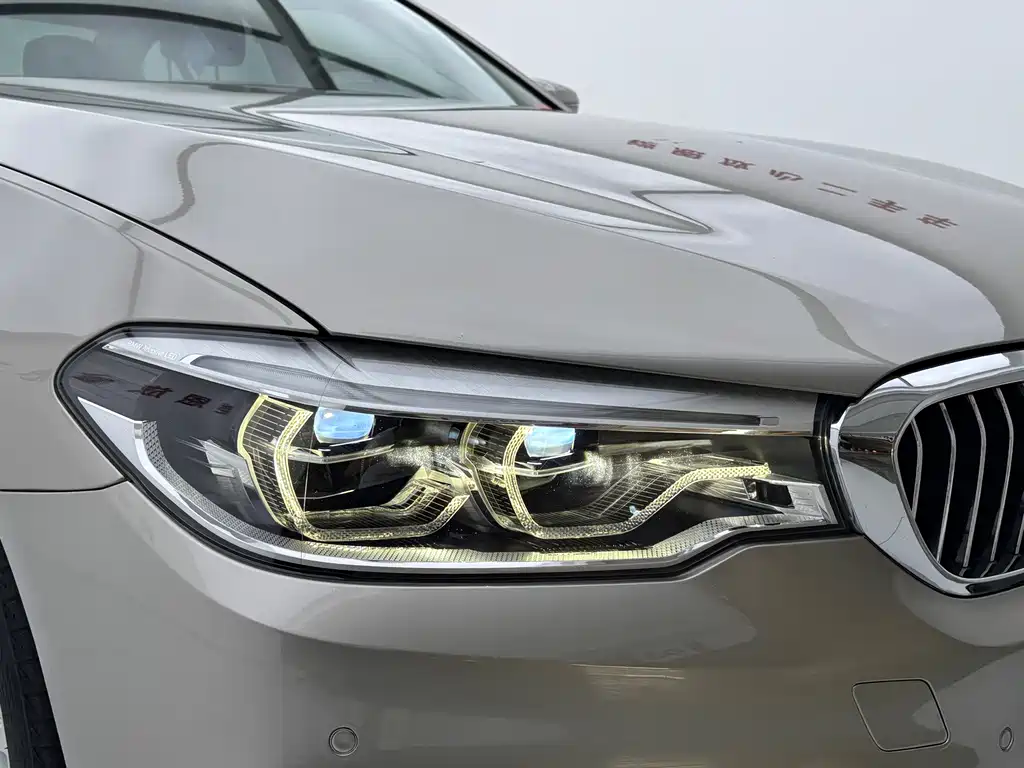 BMW 5 Series New Energy 2019