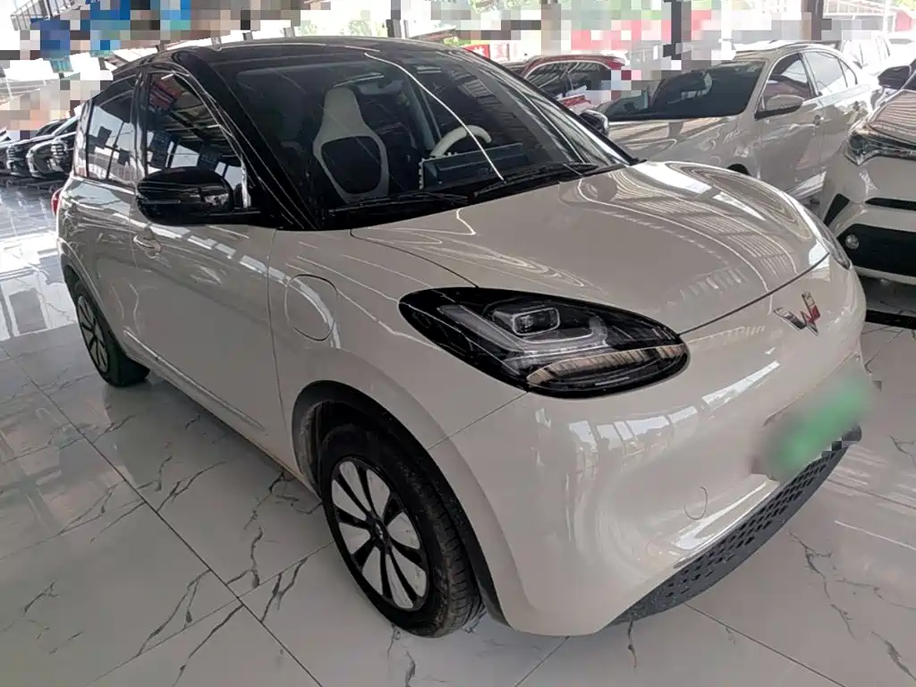 Wuling Bingo 2024