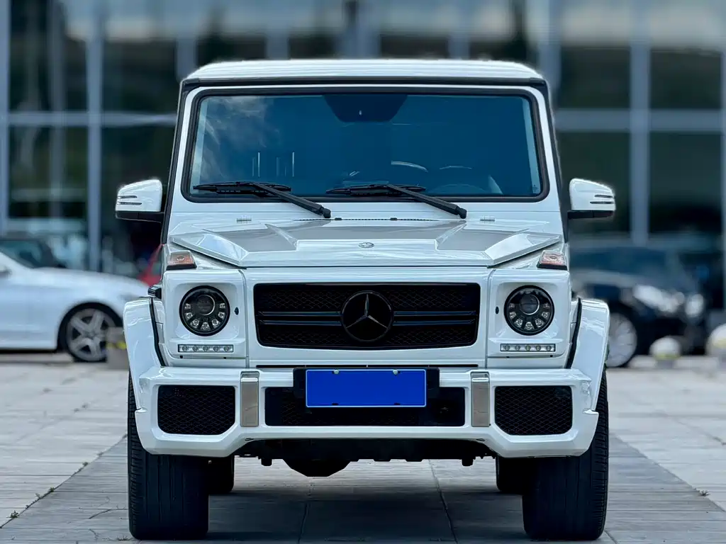 Mercedes-Benz G-Class 2013 — фото 2