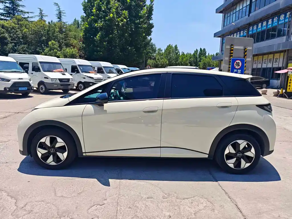 BYD Dolphin 2024