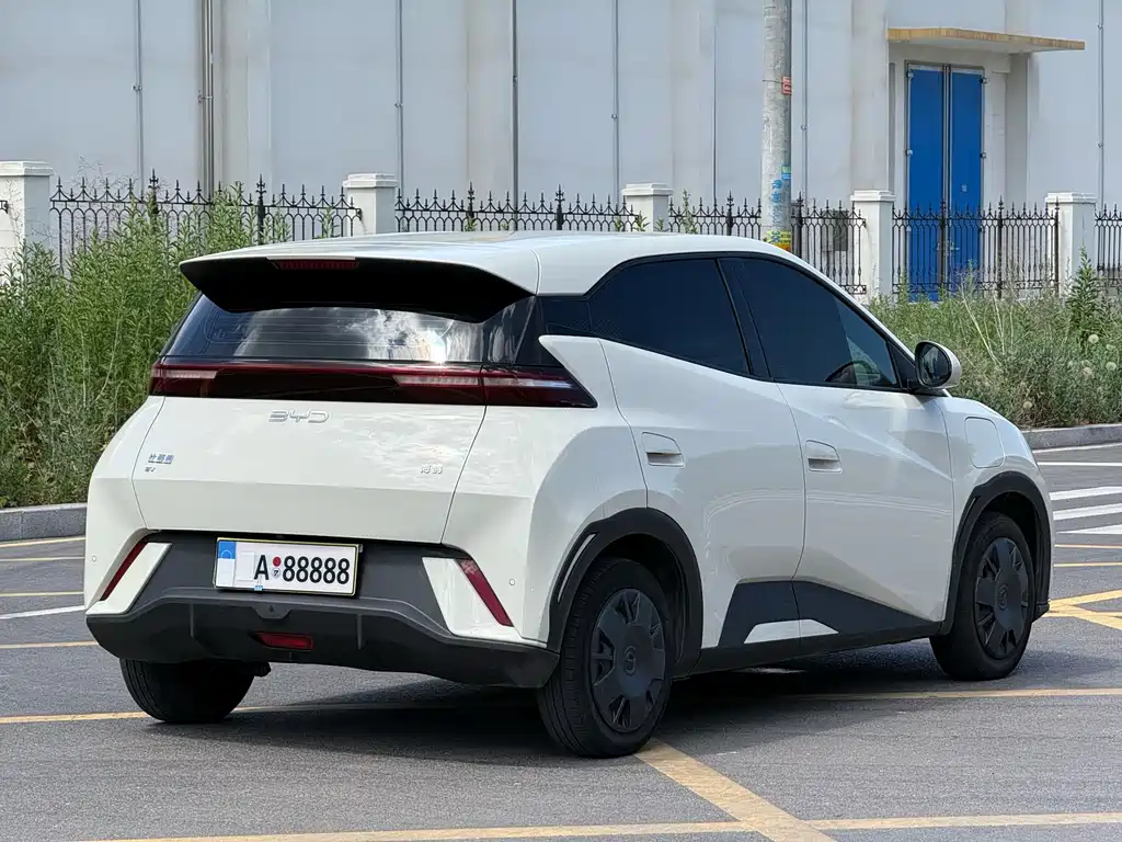 BYD Seagull 2024