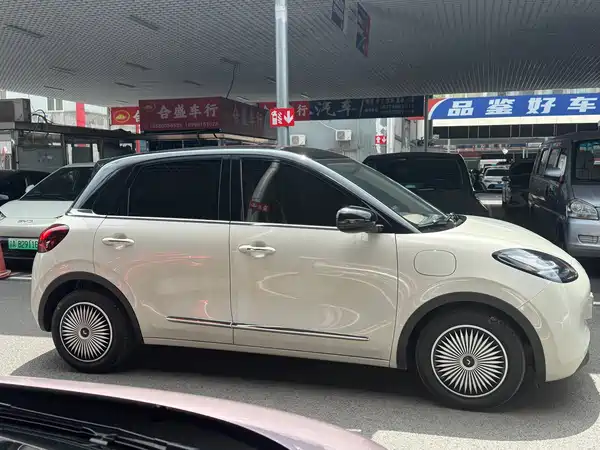 Wuling Bingo 2024