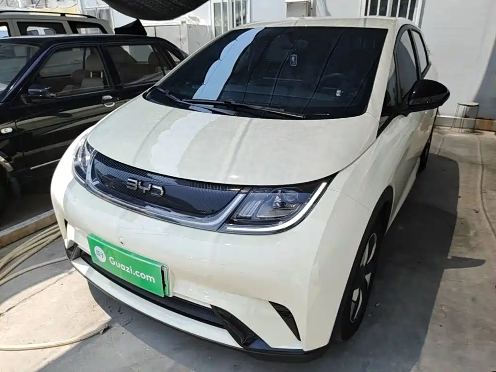 BYD Dolphin 2026