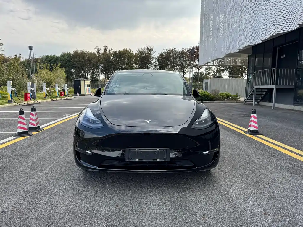 Tesla Model Y 2021 — фото 1