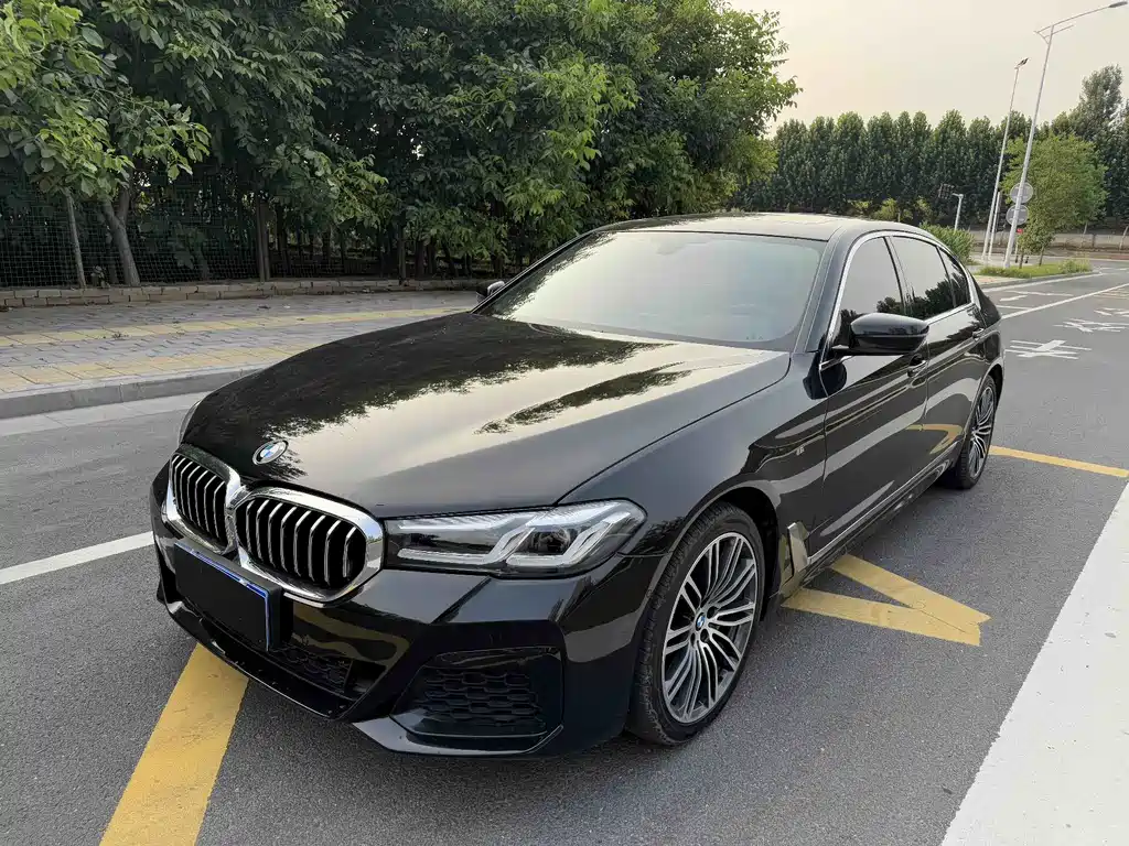 BMW 5 Series 2017