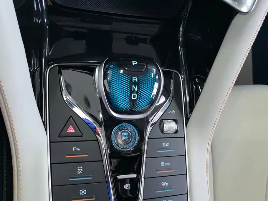BYD Song PLUS New Energy 2023 — фото 16