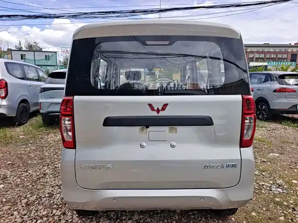 Wuling Zhiguang New Energy 2026