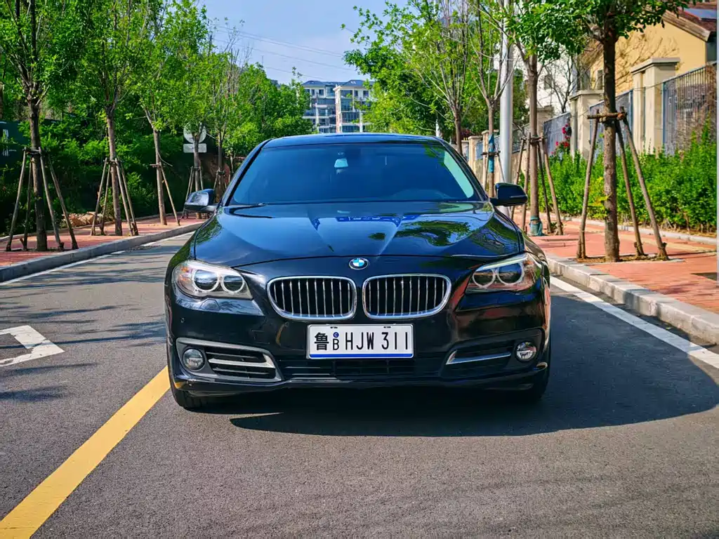 BMW 5 Series 2016 — фото 2