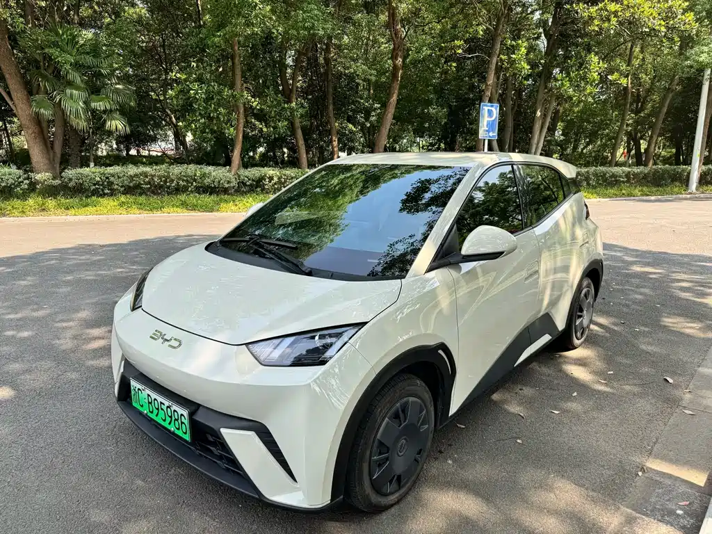 BYD Seagull 2024
