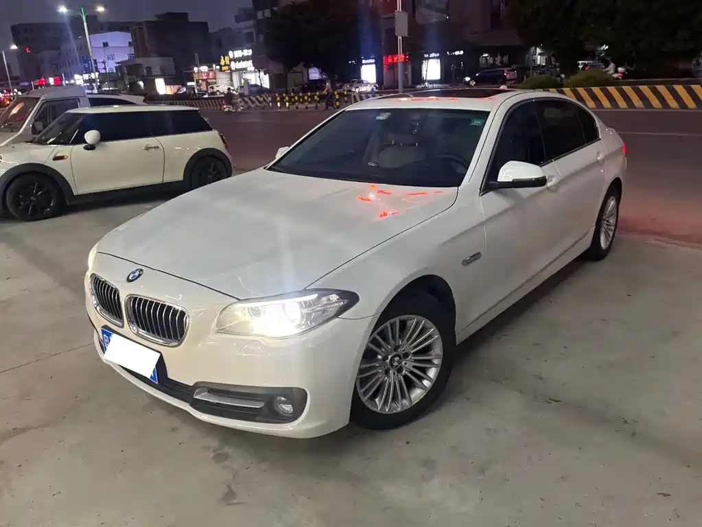 BMW 5 Series 2014 — фото 1