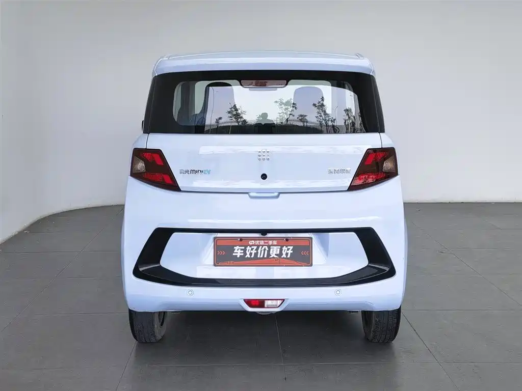 Fengguang MINIEV 2022