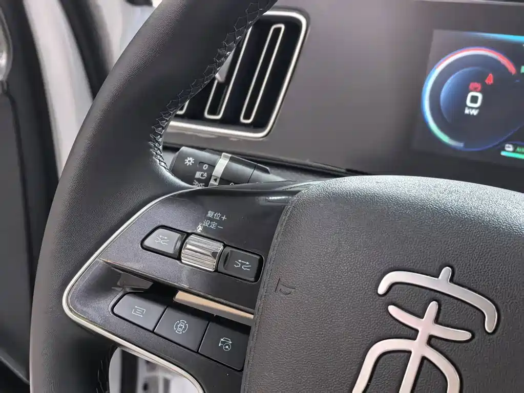 BYD Song Pro New Energy 2025 — фото 11