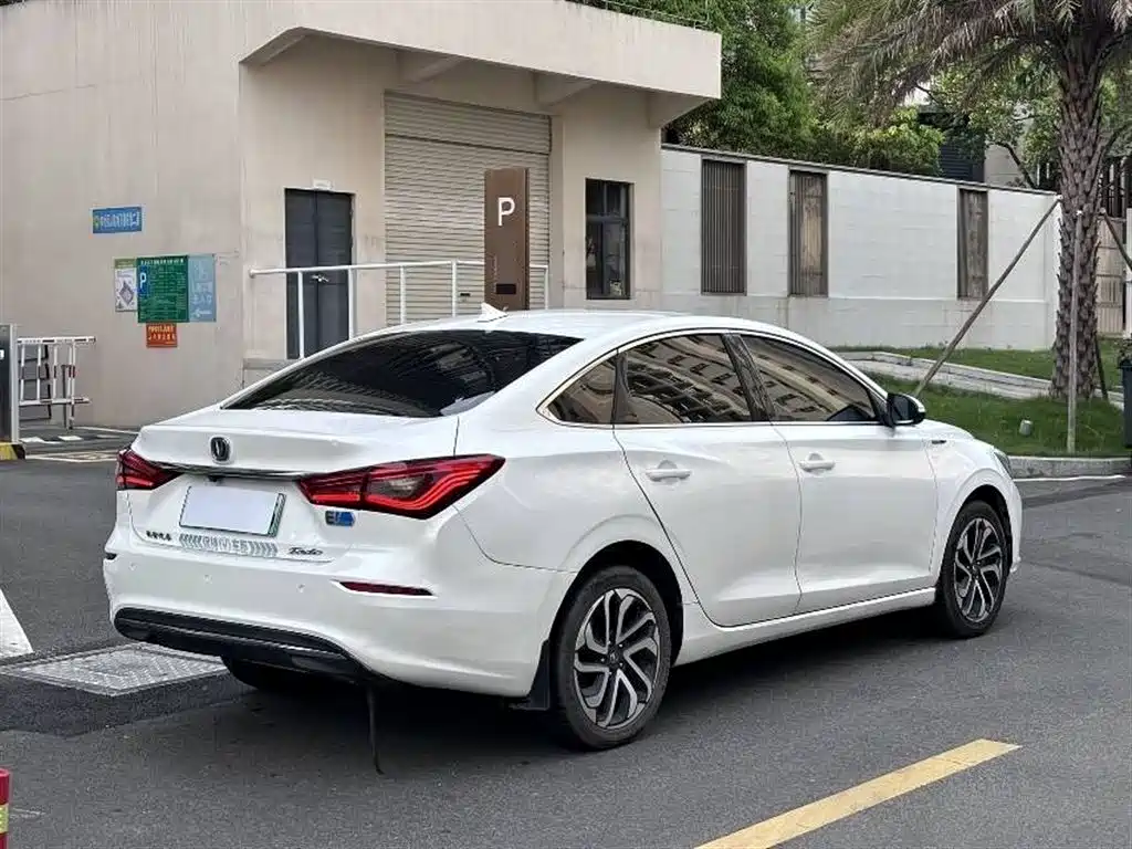 Changan Yidong New Energy 2019