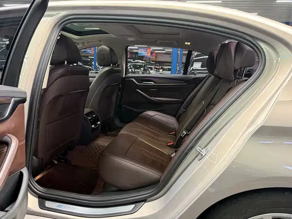 BMW 5 Series New Energy 2019