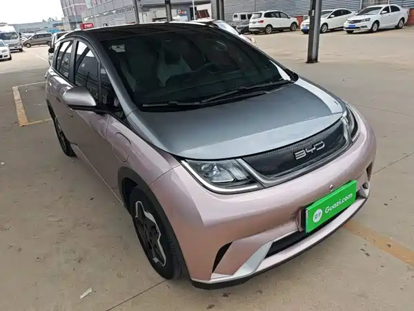 BYD Dolphin 2022
