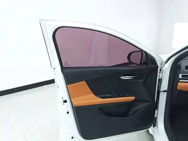 BYD e2 2021