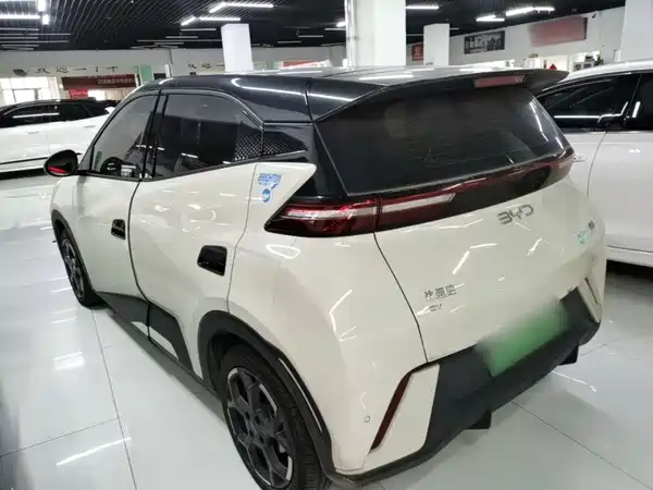 BYD Seagull 2024