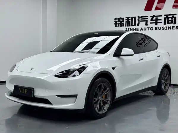 Tesla Model Y 2021