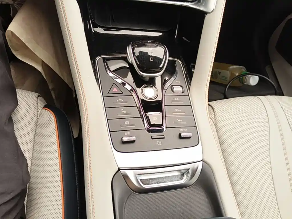 BYD Song PLUS New Energy 2023 — фото 14