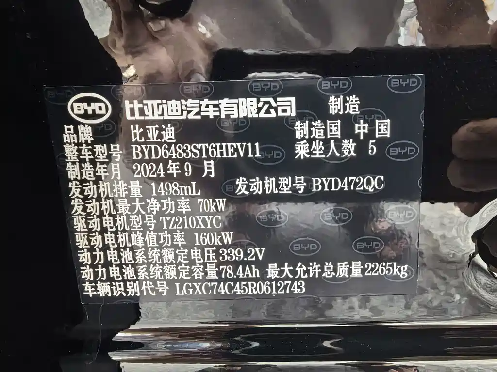 BYD Song PLUS New Energy 2024 — фото 19