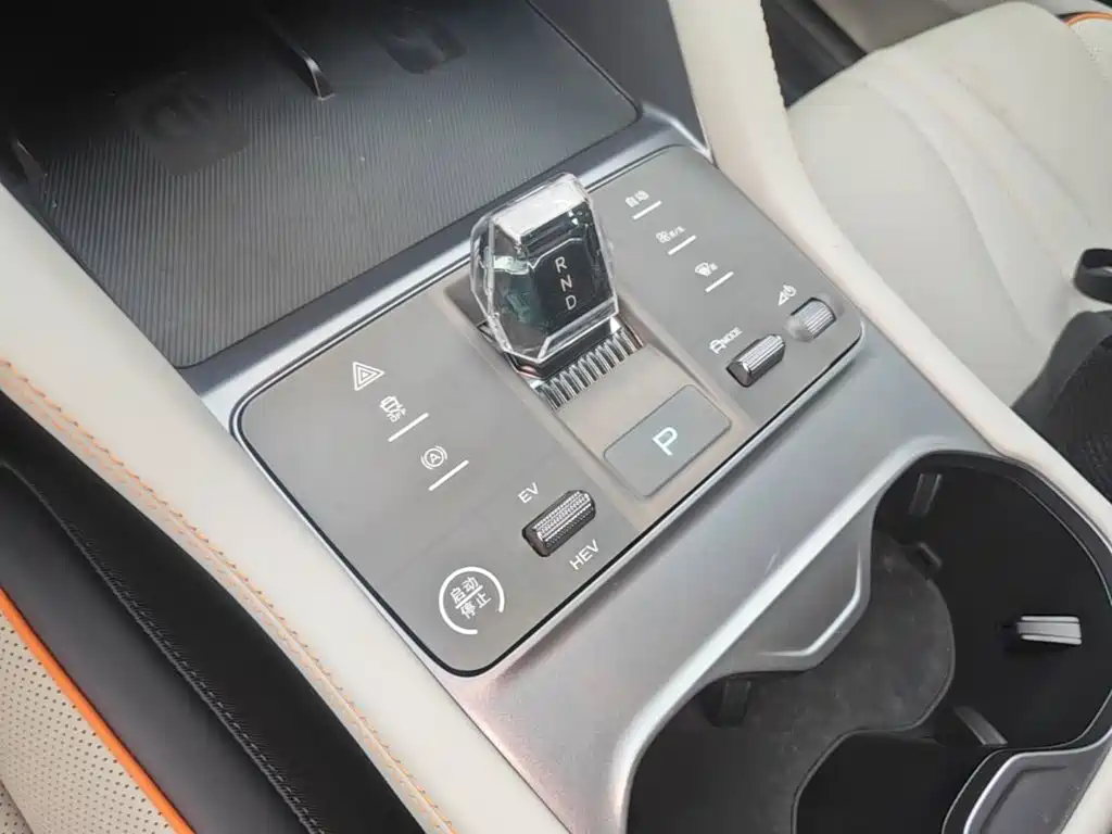 BYD PLUS New Energy 2024 — фото 14
