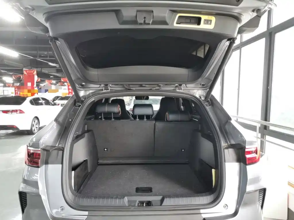 BYD PLUS New Energy 2023 — фото 15
